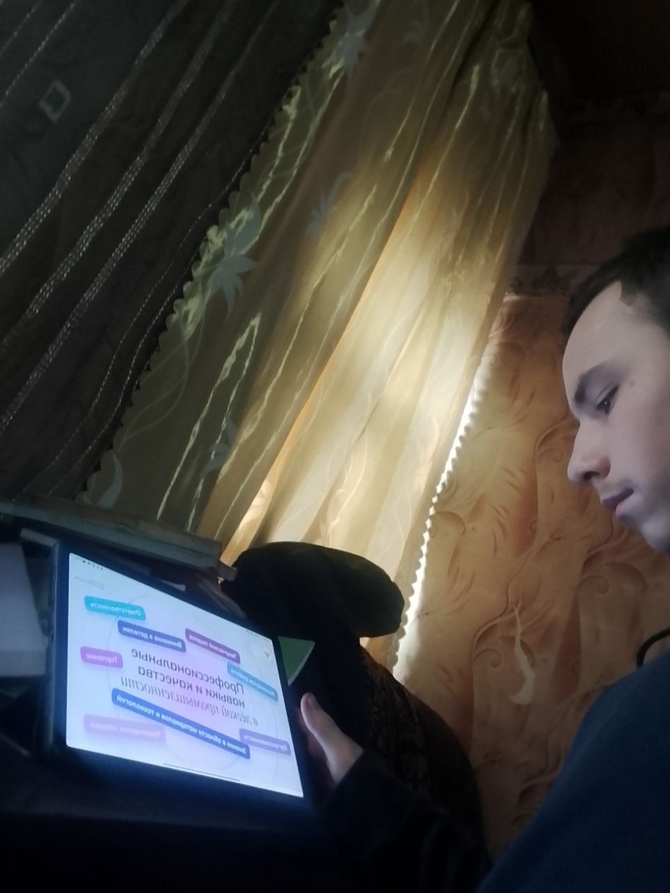 Изображения.