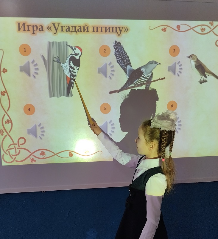 Изображения.