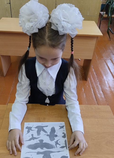 Изображения.
