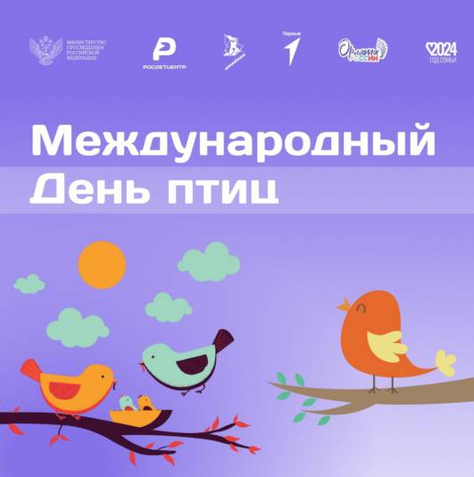 Изображения.