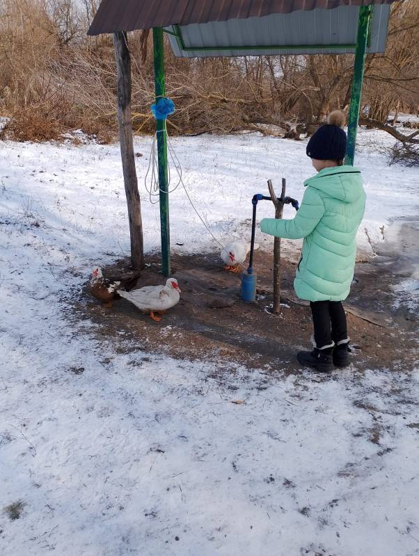 Изображения.