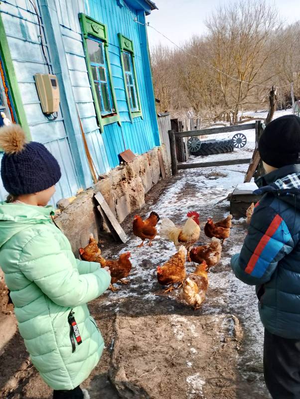 Изображения.
